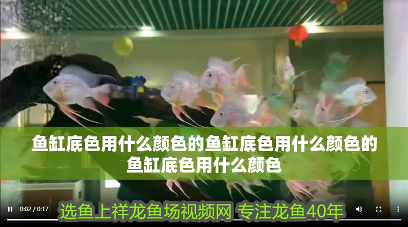 魚缸底色用什么顏色的魚缸底色用什么顏色的魚缸底色用什么顏色