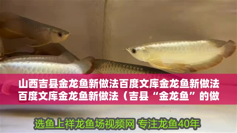 山西吉縣金龍魚新做法百度文庫金龍魚新做法百度文庫金龍魚新做法（吉縣“金龍魚”的做法） 山西吉縣金龍魚新做法百度文庫金龍魚新做法百度文庫金龍魚新做法（吉縣“金龍魚”的做法） 觀賞魚百科 第4張