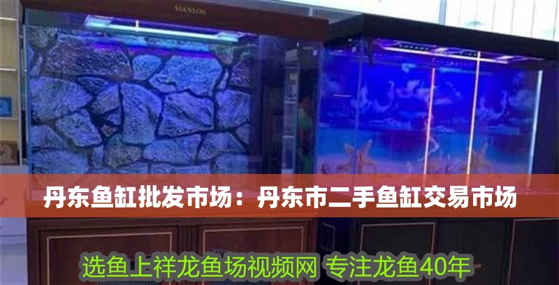 丹東魚缸批發市場：丹東市二手魚缸交易市場