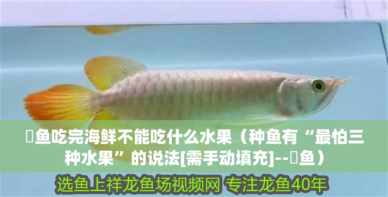 魟魚吃完海鮮不能吃什么水果（種魚有“最怕三種水果”的說法[需手動填充]--魟魚）