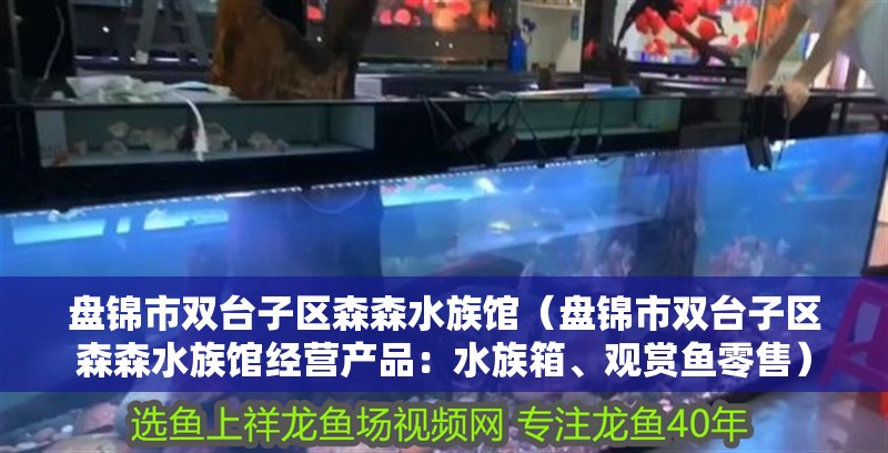 盤錦市雙臺子區森森水族館（盤錦市雙臺子區森森水族館經營產品：水族箱、觀賞魚零售）