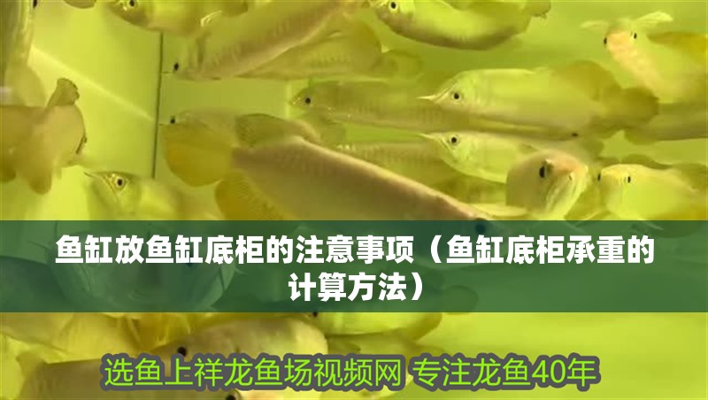 魚缸放魚缸底柜的注意事項（魚缸底柜承重的計算方法）