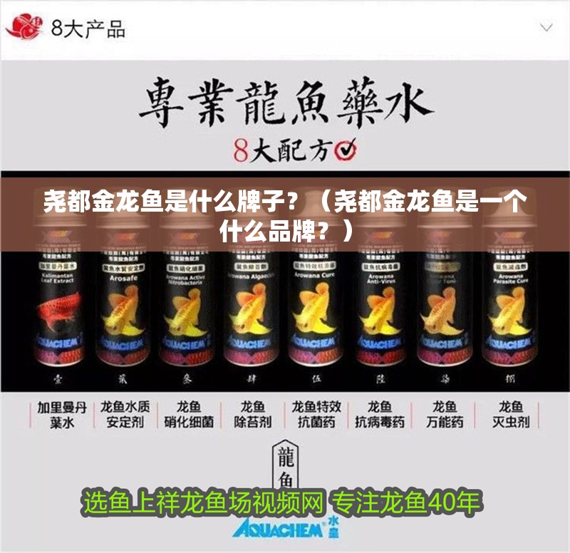 堯都金龍魚是什么牌子？（堯都金龍魚是一個什么品牌？）