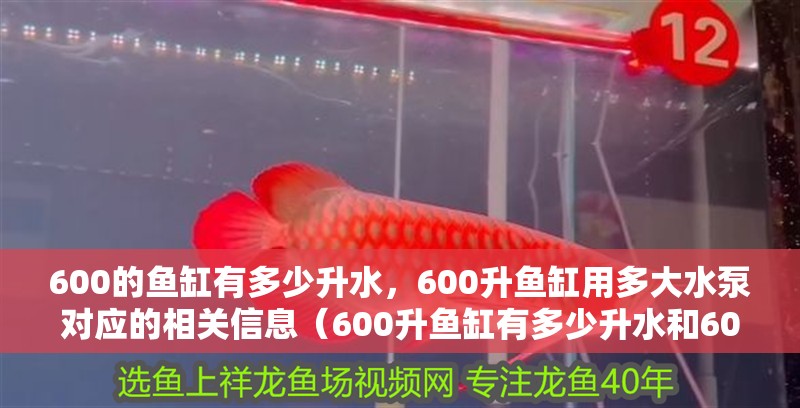 600的魚缸有多少升水，600升魚缸用多大水泵對應的相關信息（600升魚缸有多少升水和600升魚缸用多大水泵對應的信息）