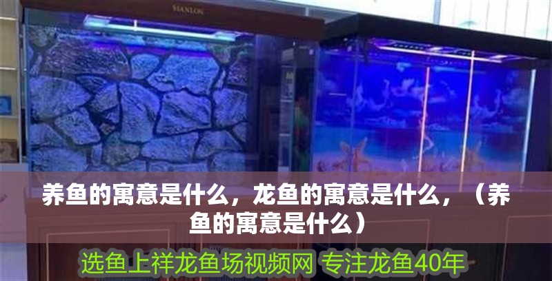 養魚的寓意是什么，龍魚的寓意是什么，（養魚的寓意是什么）