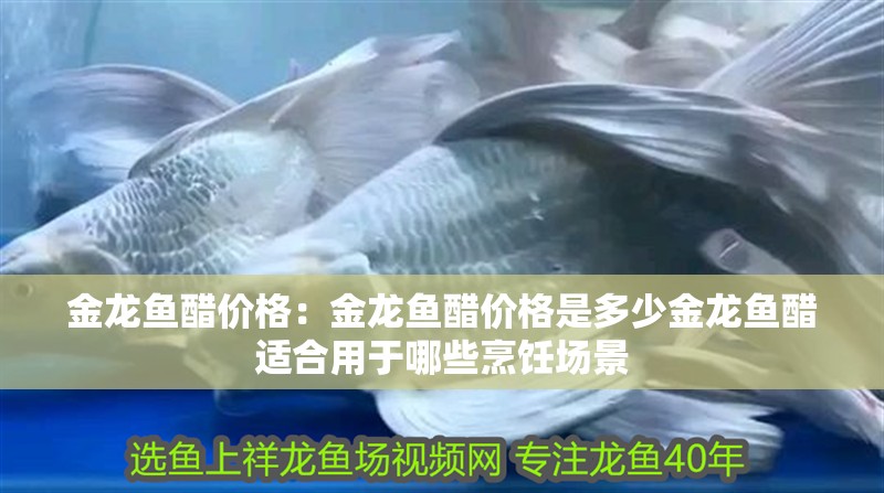金龍魚醋價格：金龍魚醋價格是多少金龍魚醋適合用于哪些烹飪場景