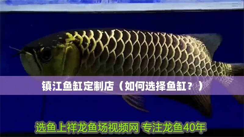 鎮江魚缸定制店（如何選擇魚缸？）