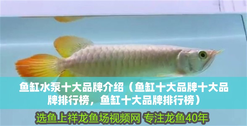 魚缸水泵十大品牌介紹（魚缸十大品牌十大品牌排行榜，魚缸十大品牌排行榜）