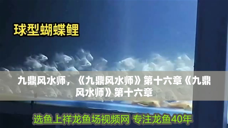 九鼎風水師，《九鼎風水師》第十六章《九鼎風水師》第十六章