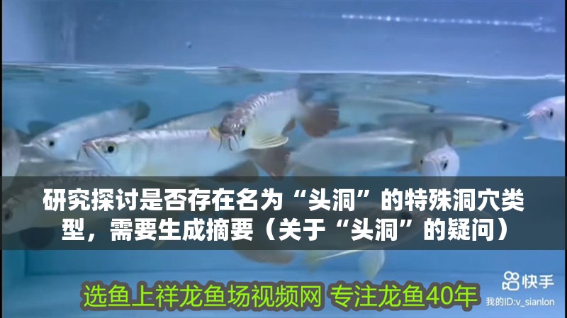 研究探討是否存在名為“頭洞”的特殊洞穴類型，需要生成摘要（關于“頭洞”的疑問）