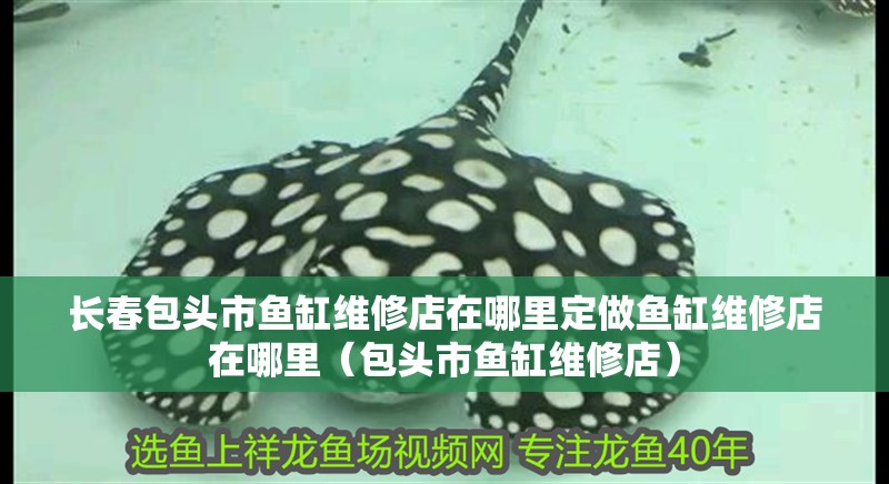 長春包頭市魚缸維修店在哪里定做魚缸維修店在哪里（包頭市魚缸維修店） 長春包頭市魚缸維修店在哪里定做魚缸維修店在哪里（包頭市魚缸維修店） 觀賞魚百科