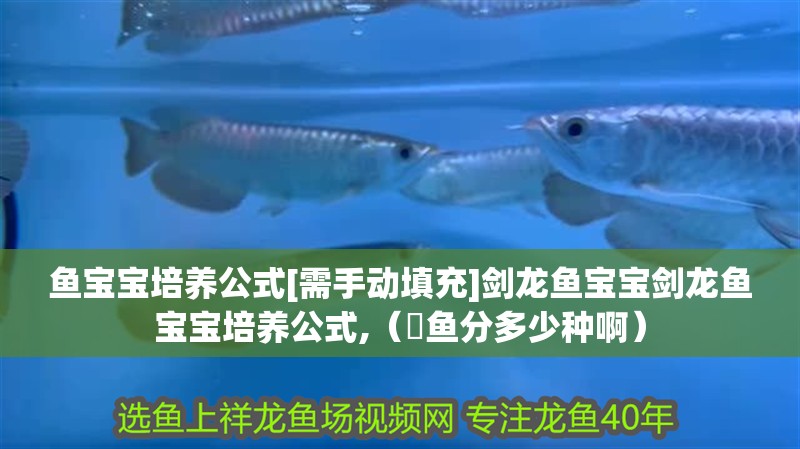 魚(yú)寶寶培養(yǎng)公式[需手動(dòng)填充]劍龍魚(yú)寶寶劍龍魚(yú)寶寶培養(yǎng)公式,（魟魚(yú)分多少種啊）
