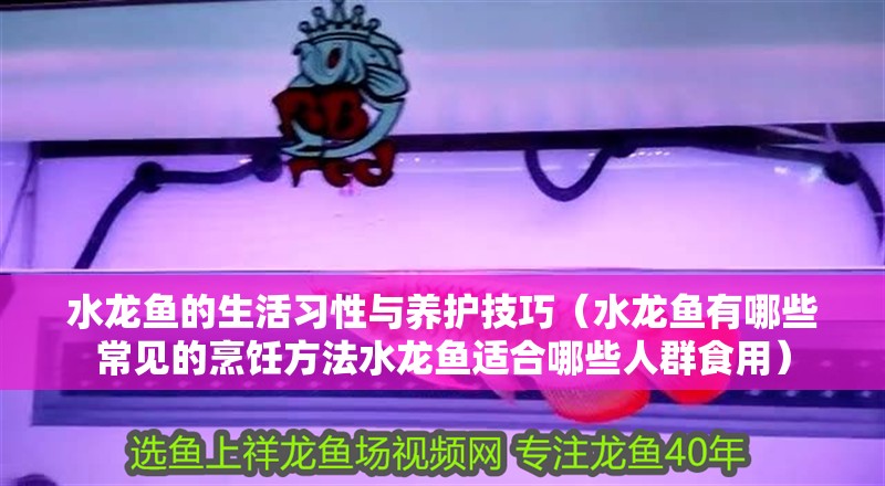 水龍魚的生活習性與養護技巧（水龍魚有哪些常見的烹飪方法水龍魚適合哪些人群食用）