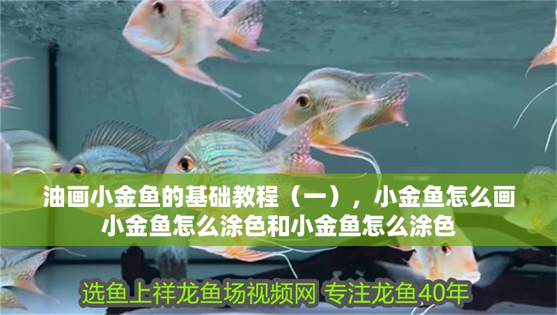 油畫小金魚的基礎(chǔ)教程（一），小金魚怎么畫小金魚怎么涂色和小金魚怎么涂色