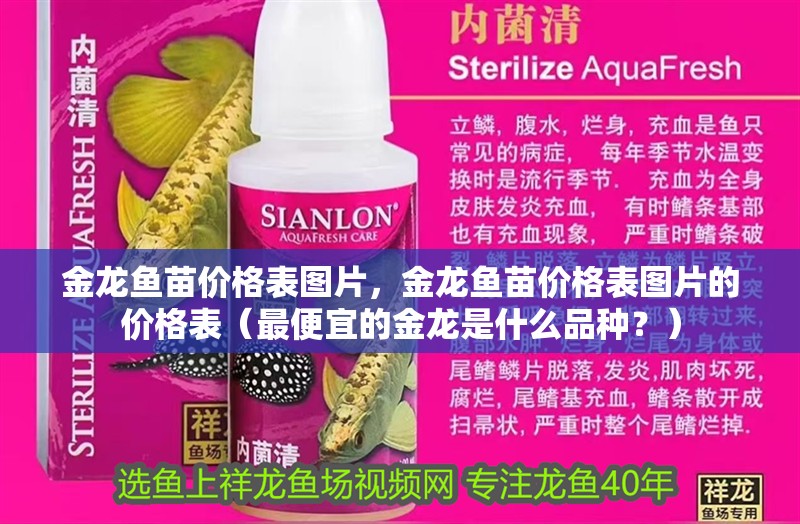金龍魚苗價格表圖片，金龍魚苗價格表圖片的價格表（最便宜的金龍是什么品種？）