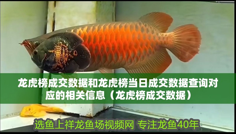 龍虎榜成交數(shù)據(jù)和龍虎榜當(dāng)日成交數(shù)據(jù)查詢對應(yīng)的相關(guān)信息（龍虎榜成交數(shù)據(jù)）