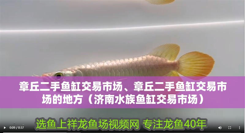 章丘二手魚缸交易市場、章丘二手魚缸交易市場的地方（濟南水族魚缸交易市場）