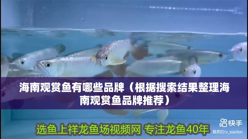 海南觀賞魚有哪些品牌（根據搜索結果整理海南觀賞魚品牌推薦）