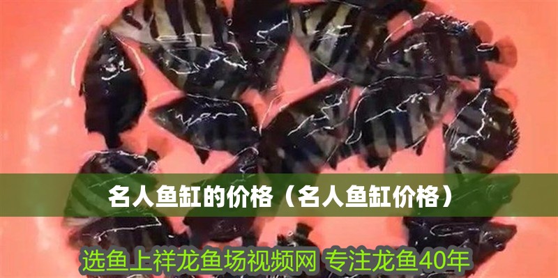名人魚缸的價格（名人魚缸價格）