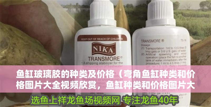 魚缸玻璃膠的種類及價(jià)格（彎角魚缸種類和價(jià)格圖片大全視頻欣賞，魚缸種類和價(jià)格圖片大全）