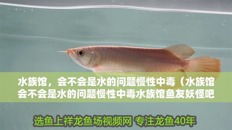 水族館，會(huì)不會(huì)是水的問(wèn)題慢性中毒（水族館會(huì)不會(huì)是水的問(wèn)題慢性中毒水族館魚(yú)友妖怪吧）