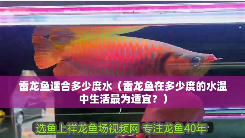 雷龍魚(yú)適合多少度水（雷龍魚(yú)在多少度的水溫中生活最為適宜？）
