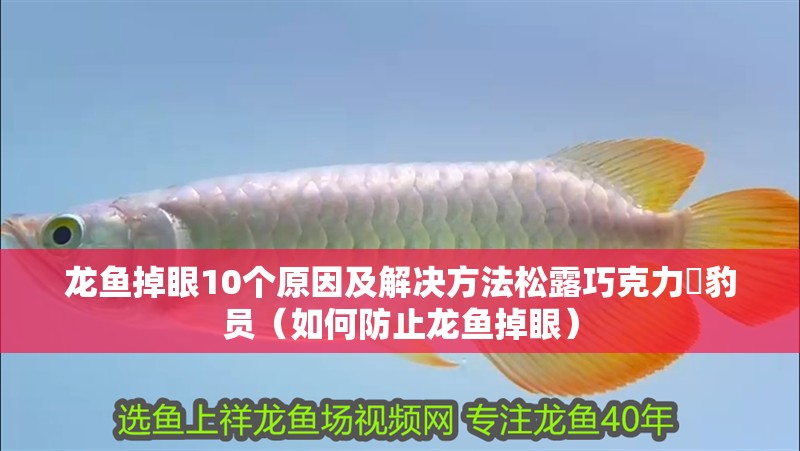 龍魚掉眼10個原因及解決方法松露巧克力電豹員（如何防止龍魚掉眼）