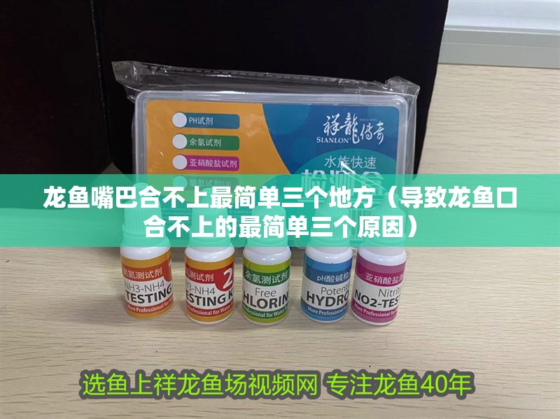 龍魚嘴巴合不上最簡單三個地方（導致龍魚口合不上的最簡單三個原因）