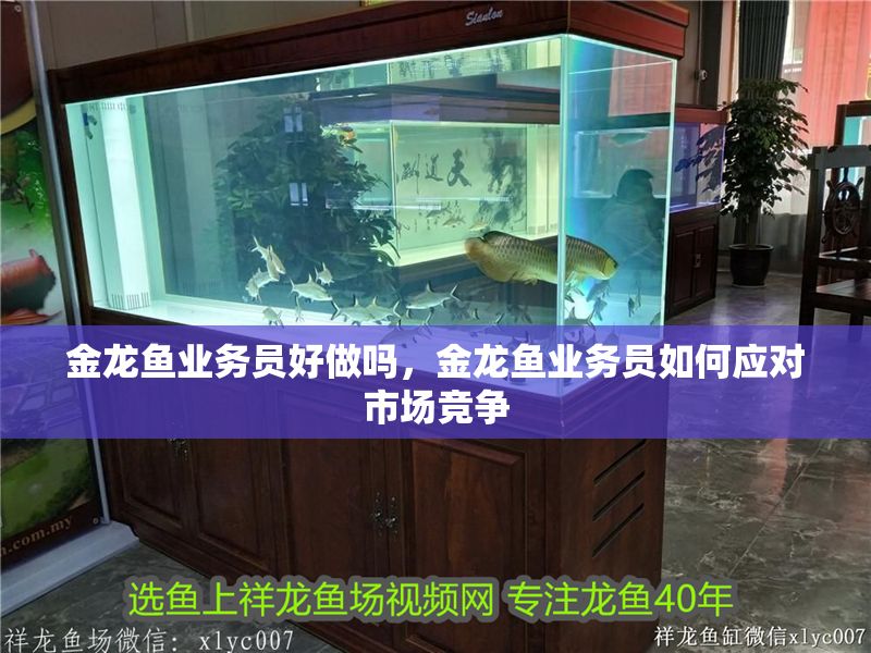 金龍魚業務員好做嗎，金龍魚業務員如何應對市場競爭
