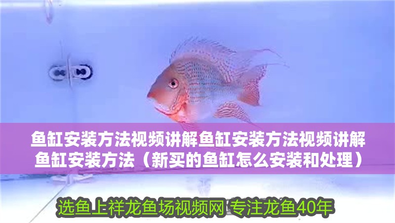 魚缸安裝方法視頻講解魚缸安裝方法視頻講解魚缸安裝方法（新買的魚缸怎么安裝和處理） 魚缸安裝方法視頻講解魚缸安裝方法視頻講解魚缸安裝方法（新買的魚缸怎么安裝和處理） 觀賞魚百科