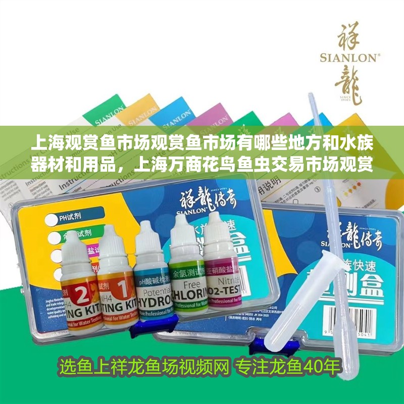 上海觀賞魚市場觀賞魚市場有哪些地方和水族器材和用品，上海萬商花鳥魚蟲交易市場觀賞魚市場觀賞魚規(guī)模大介紹