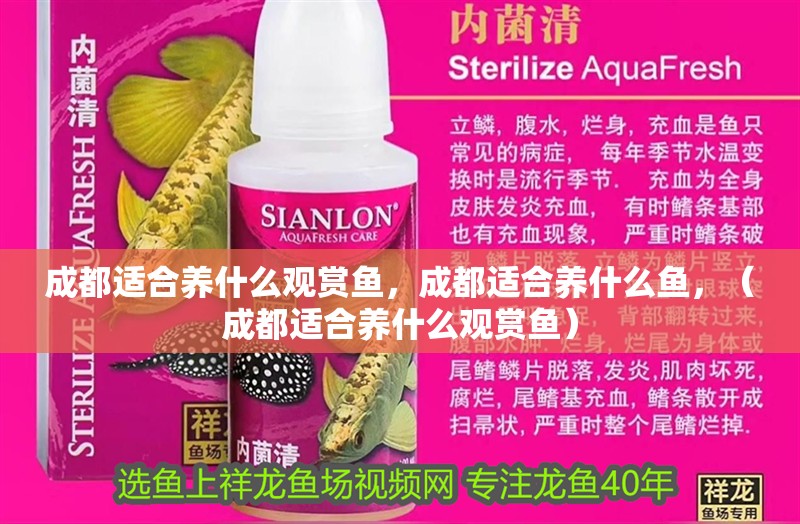 成都適合養什么觀賞魚，成都適合養什么魚，（成都適合養什么觀賞魚） 成都適合養什么觀賞魚，成都適合養什么魚，（成都適合養什么觀賞魚） 觀賞魚百科