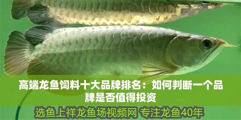 高端龍魚飼料十大品牌排名：如何判斷一個品牌是否值得投資 高端龍魚飼料十大品牌排名：如何判斷一個品牌是否值得投資 觀賞魚百科