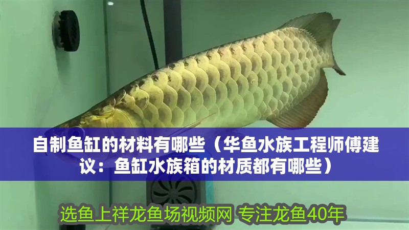 自制魚缸的材料有哪些（華魚水族工程師傅建議：魚缸水族箱的材質(zhì)都有哪些）