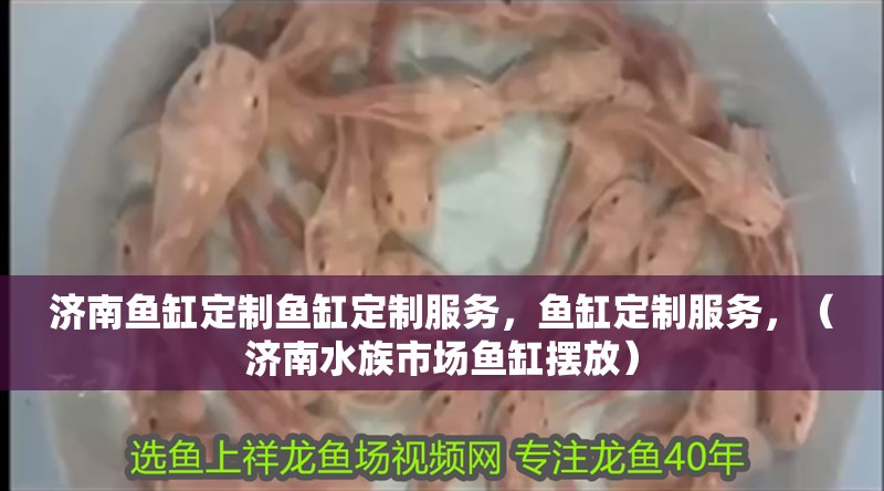 濟南魚缸定制魚缸定制服務，魚缸定制服務，（濟南水族市場魚缸擺放）