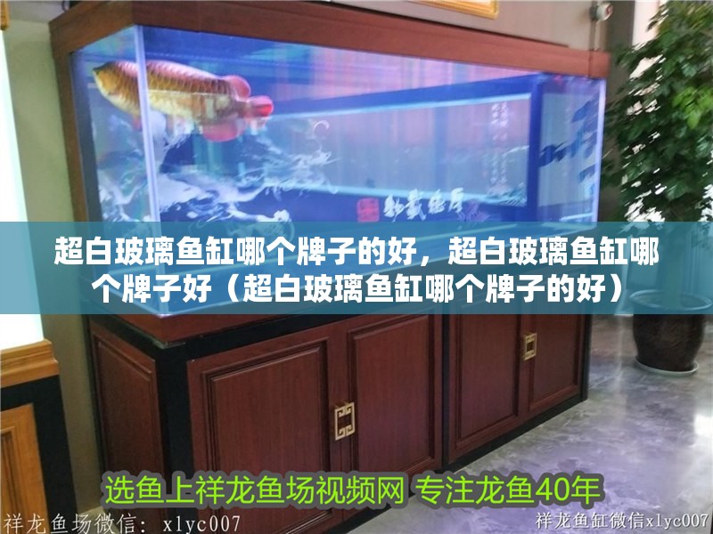 超白玻璃魚缸哪個牌子的好，超白玻璃魚缸哪個牌子好（超白玻璃魚缸哪個牌子的好）