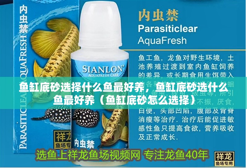 魚缸底砂選擇什么魚最好養，魚缸底砂選什么魚最好養（魚缸底砂怎么選擇）