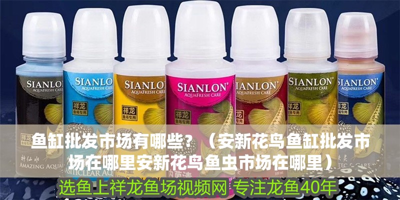 魚缸批發(fā)市場有哪些？（安新花鳥魚缸批發(fā)市場在哪里安新花鳥魚蟲市場在哪里）