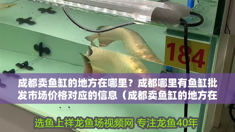 我的虎魚真菌感染了要怎么處理 成都賣魚缸的地方在哪里?成都哪里有魚缸批發(fā)市場價格對應的信息(成都賣魚缸的地方在哪里啊,成都哪里有魚缸批發(fā)市場價格對應的相關信息) 觀賞魚百科 成都賣魚缸的地方在哪里?成都哪里有魚缸批發(fā)市場價格對應的信息(成都賣魚缸的地方在哪里啊,成都哪里有魚缸批發(fā)市場價格對應的相關信息) 成都賣魚缸的地方在哪里?成都哪里有魚缸批發(fā)市場價格對應的信息(成都賣魚缸的地方在哪里啊,成都哪里有魚缸批發(fā)市場價格對應的相關信息) 觀賞魚百科