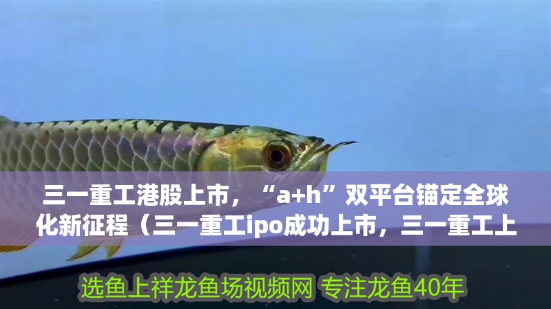 三一重工港股上市，“a+h”雙平臺(tái)錨定全球化新征程（三一重工ipo成功上市，三一重工上市后有哪些重大舉措）