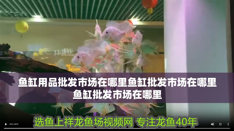 魚缸用品批發(fā)市場在哪里魚缸批發(fā)市場在哪里魚缸批發(fā)市場在哪里