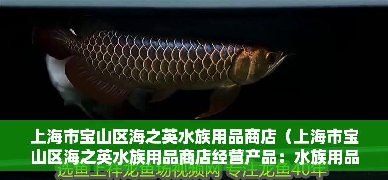 <strong><mark>上海</mark></strong>市寶山區(qū)海之英水族用品商店（<strong><mark>上海</mark></strong>市寶山區(qū)海之英水族用品商店經(jīng)營產(chǎn)品：水族用品零售）