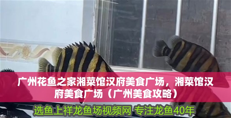 廣州花魚之家湘菜館漢府美食廣場，湘菜館漢府美食廣場（廣州美食攻略）