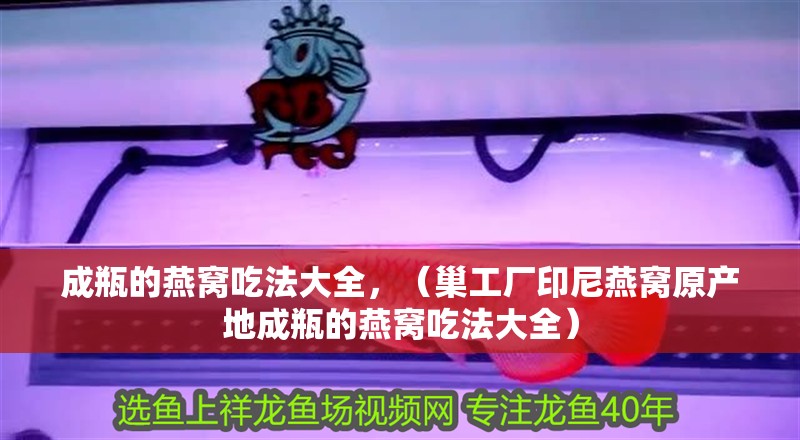 成瓶的燕窩吃法大全，（巢工廠印尼燕窩原產(chǎn)地成瓶的燕窩吃法大全）