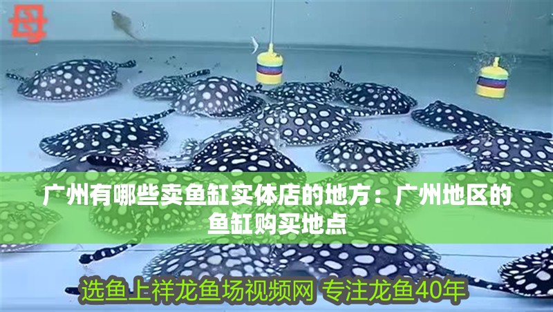 廣州有哪些賣魚(yú)缸實(shí)體店的地方：廣州地區(qū)的魚(yú)缸購(gòu)買地點(diǎn)