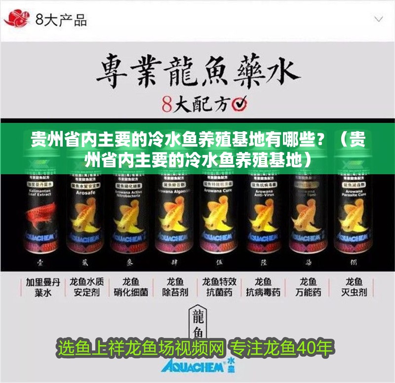 貴州省內(nèi)主要的冷水魚養(yǎng)殖基地有哪些？（貴州省內(nèi)主要的冷水魚養(yǎng)殖基地）