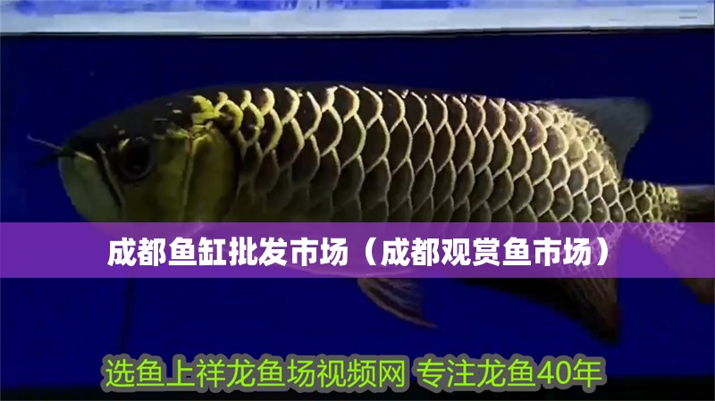 <strong><mark>成都</mark></strong>魚缸批發市場（<strong><mark>成都</mark></strong>觀賞魚市場）