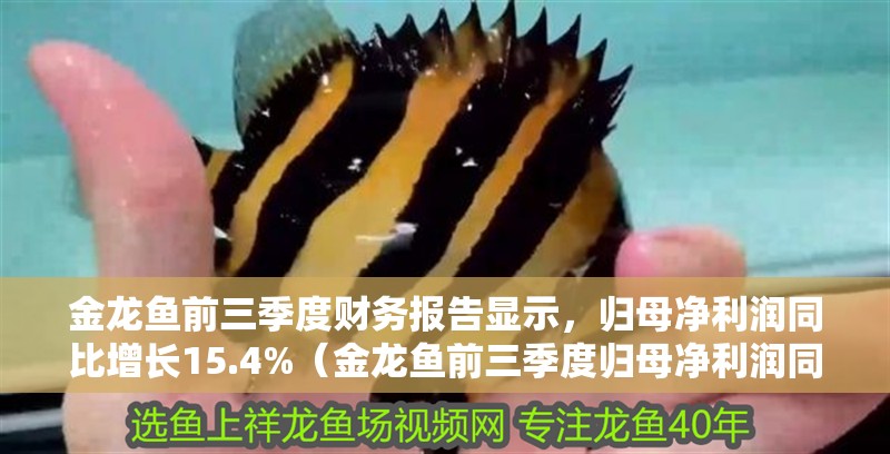 金龍魚前三季度財務報告顯示，歸母凈利潤同比增長15.4%（金龍魚前三季度歸母凈利潤同比增長15.4%）