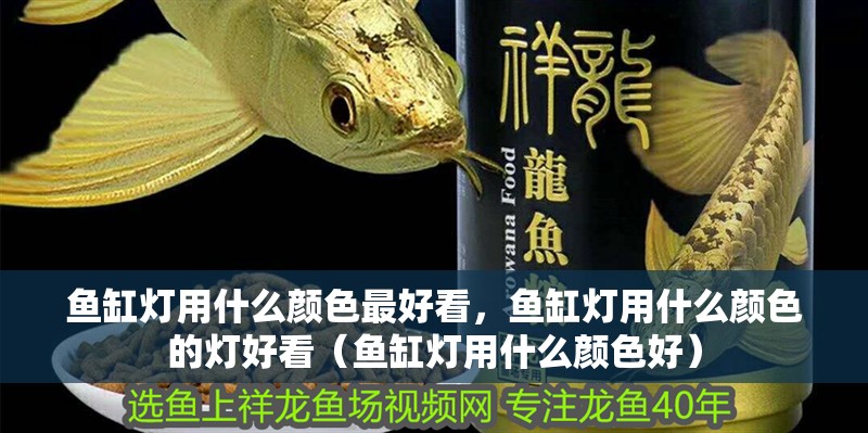魚缸燈用什么顏色最好看，魚缸燈用什么顏色的燈好看（魚缸燈用什么顏色好）