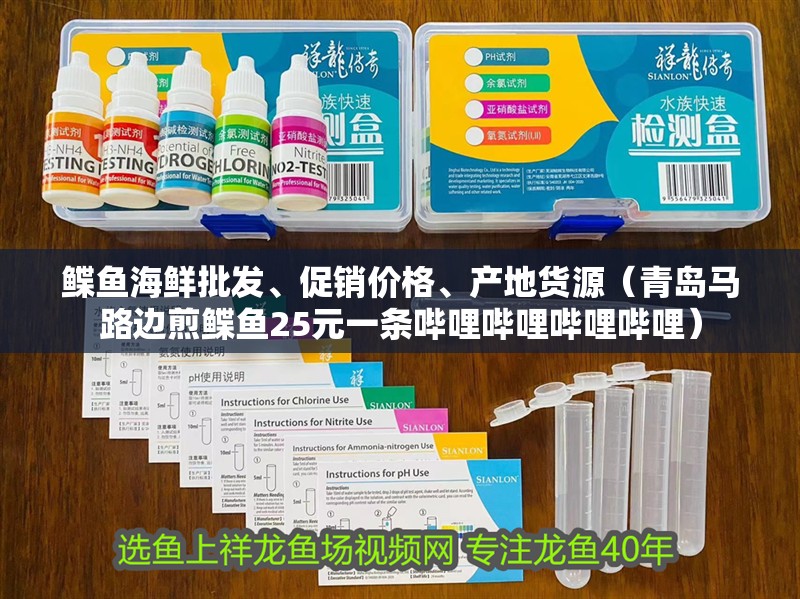 鰈魚海鮮批發、促銷價格、產地貨源（青島馬路邊煎鰈魚25元一條嗶哩嗶哩嗶哩嗶哩）